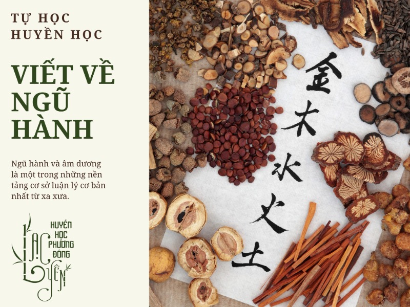 NGŨ HÀNH CHUYÊN SÂU